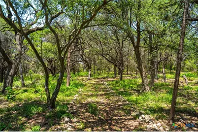 127 Kings Way, New Braunfels, TX 78132 - Photo 13