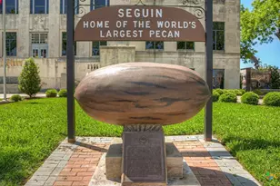 915 Prince Albert, Seguin, TX 78155 - Photo 9