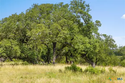 2156 Andalusia, Canyon Lake, TX 78133 - Photo 5