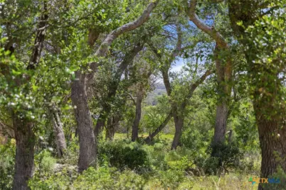 2159 Andalusia, Canyon Lake, TX 78133 - Photo 5