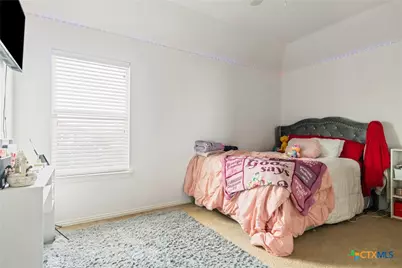 1002 Wallin Farms Cove, Hutto, TX 78634 - Photo 17