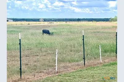 8268 Fm 1347, Stockdale, TX 78160 - Photo 7