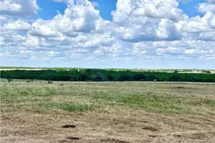 8268 Fm 1347, Stockdale, TX 78160 - Photo 9