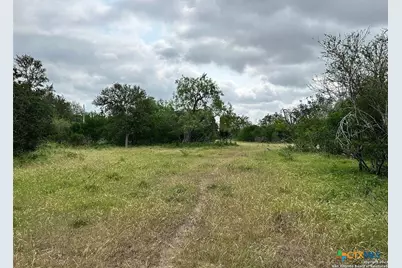 305 Cr 305, Beeville, TX 78102 - Photo 5