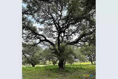 305 Cr 305, Beeville, TX 78102 - Photo 13