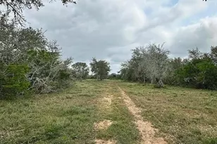 305 Cr 305, Beeville, TX 78102 - Photo 15