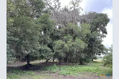 305 Cr 305, Beeville, TX 78102 - Photo 21