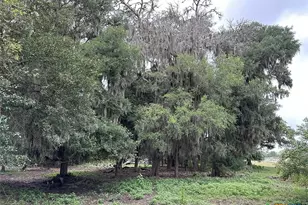 305 Cr 305, Beeville, TX 78102 - Photo 21