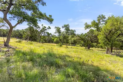 2219 Hiline Drive, Bulverde, TX 78163 - Photo 7