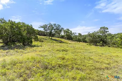 2219 Hiline Drive, Bulverde, TX 78163 - Photo 47
