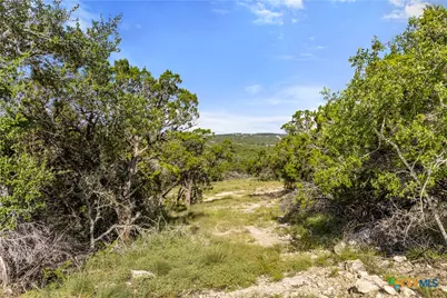 2219 Hiline Drive, Bulverde, TX 78163 - Photo 37