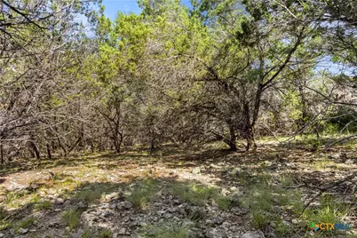 2219 Hiline Drive, Bulverde, TX 78163 - Photo 9