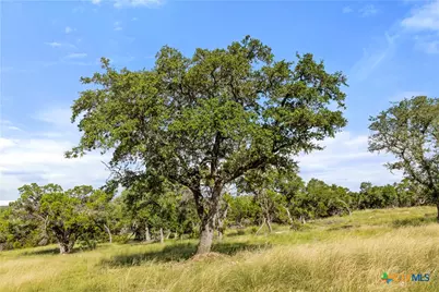 2219 Hiline Drive, Bulverde, TX 78163 - Photo 33