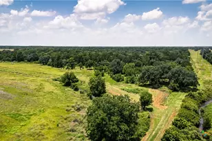 1238 Co Rd 124, Wharton, TX 77488 - Photo 3