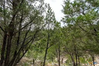 318 Iron Hill, New Braunfels, TX 78132 - Photo 9