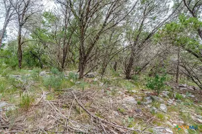 318 Iron Hill, New Braunfels, TX 78132 - Photo 11