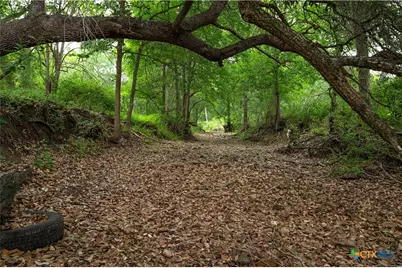 4188 Fm 20, Seguin, TX 78155 - Photo 3