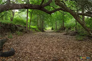 4188 FM 20, Seguin, TX 78155 - Photo 3