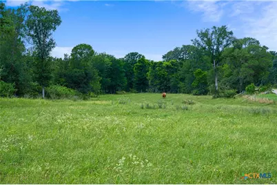 4188 Fm 20, Seguin, TX 78155 - Photo 5