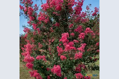 2113 Zion Hill Road, Seguin, TX 78155 - Photo 7