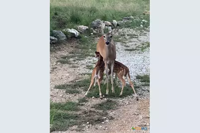 1200 Willow Drive, Canyon Lake, TX 78133 - Photo 25