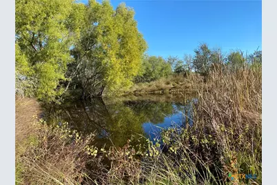 000 County Rd 407, Waelder, TX 78959 - Photo 21