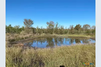 000 County Rd 407, Waelder, TX 78959 - Photo 5