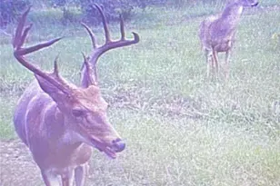 1780 Nursery Dr, Nursery, TX 77976 - Photo 43