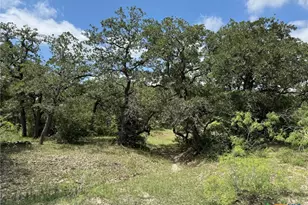 Tbd County Road 482, Gonzales, TX 78629 - Photo 33