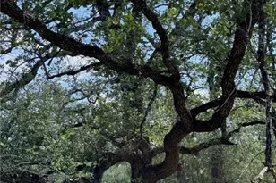 Tbd County Road 482, Gonzales, TX 78629 - Photo 23