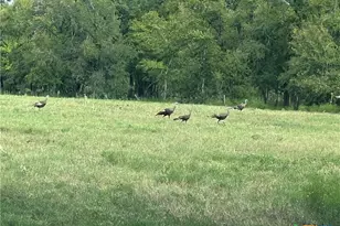 735 Old Zorn Rd, San Marcos, TX 78666 - Photo 17