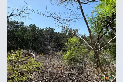 4224 Wegner Road, New Braunfels, TX 78132 - Photo 9
