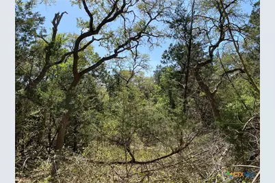 4224 Wegner Road, New Braunfels, TX 78132 - Photo 7