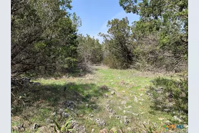 4224 Wegner Road, New Braunfels, TX 78132 - Photo 15