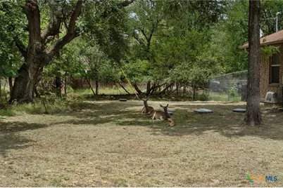 53 Buttercup Loop, Belton, TX 76513 - Photo 3