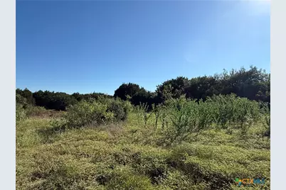 58 Longview Drive, Lampasas, TX 76550 - Photo 9