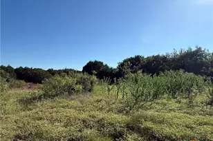 58 Longview Dr, Lampasas, TX 76550 - Photo 9