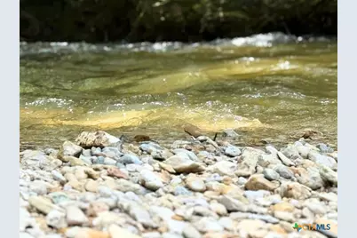 12641 Fm 93, Belton, TX 76513 - Photo 47