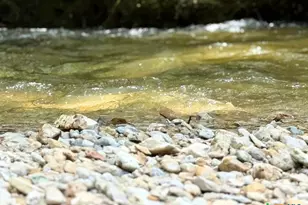 12641 FM93, Belton, TX 76513 - Photo 47