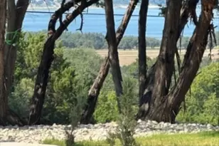 226 Bobby Clark Dr, Canyon Lake, TX 78133 - Photo 41