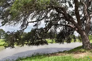 4361 US Hwy 77, Hallettsville, TX 77964 - Photo 45