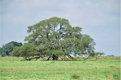 4361 US Highway 77, Hallettsville, TX 77964 - Photo 31