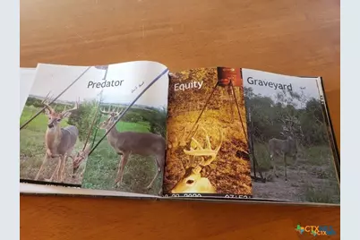 Lot 4 County Road 1255 Pitt Creek Ranch, Lampasas, TX 76550 - Photo 7