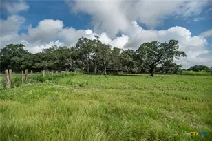 2133 Co Rd 125, Edna, TX 77957 - Photo 43