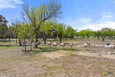 10900 Ranch Road 1323, Johnson City, TX 78636 - Photo 37