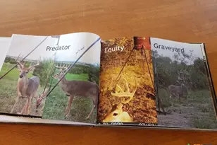 Lot 4 County Road 1255 Pitt Creek Ranch, Lampasas, TX 76550 - Photo 7