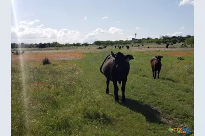 Lot 4 County Road 1255 Pitt Creek Ranch, Lampasas, TX 76550 - Photo 3