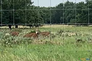 000 County Road 104 Rd, Lampasas, TX 76550 - Photo 11