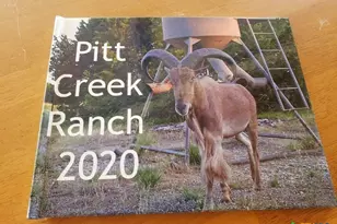 Lot 5 County Road 1255 Pitt Creek Ranch, Lampasas, TX 76550 - Photo 7