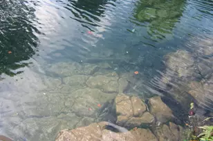 1108 Tuscan Ridge, New Braunfels, TX 78130 - Photo 47